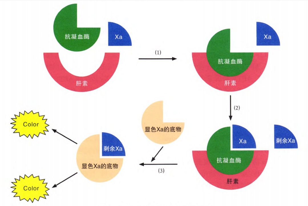 國產(chǎn)抗Xa質(zhì)量如何？多中心臨床研究來(lái)告訴你！